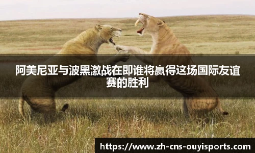 阿美尼亚与波黑激战在即谁将赢得这场国际友谊赛的胜利